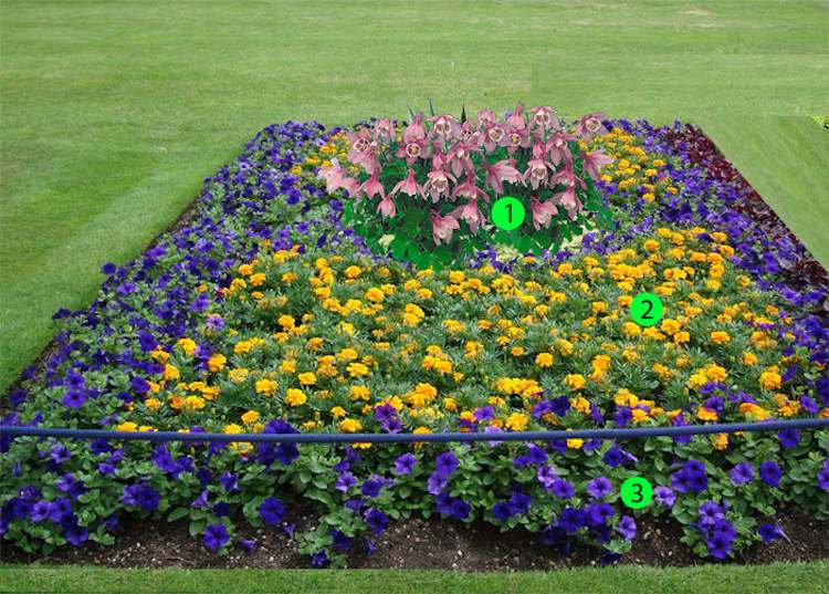 Záhon-pokládka-koberec-petúnie-zamat-kvety-obdĺžnikový-trávnik