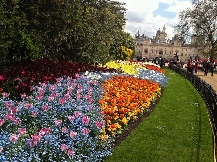 záhon-pokládka-koberec-tulipány-predĺžený-hrad-formálna-záhrada
