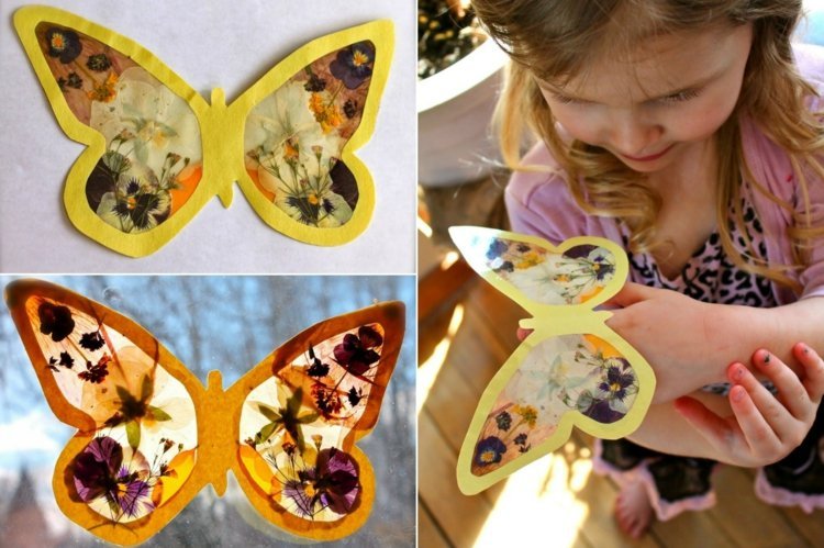 motýle-drotár-deti-urobte-sušené-kvety-okenný-obrázok-sami