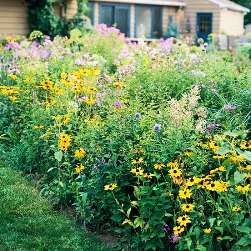 motýle záhrada romantická atmosféra kvety motýlia záhrada pre romantickú atmosféru kvety