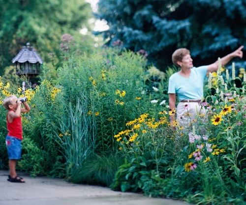 motýle záhrada sledovať romantickú atmosféru Sledujte romantickú atmosféru v záhrade motýľov