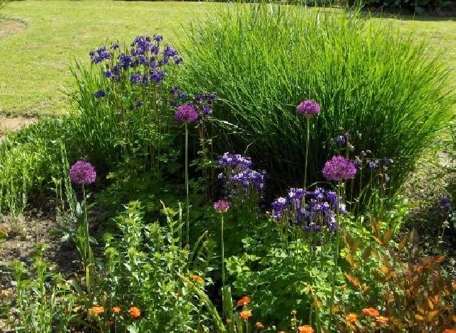 Kvetinové záhony v romantickom štýle-nápady na záhradnú architektúru