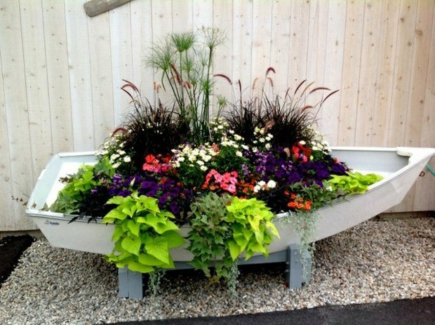 rastlina kreatívne nápady krásne kvety okrasné trávy