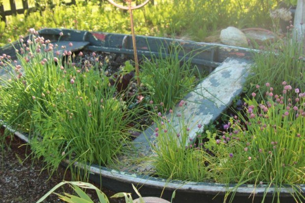 Nápady, ako si krásne záhradné dekorácie vyrobiť sami