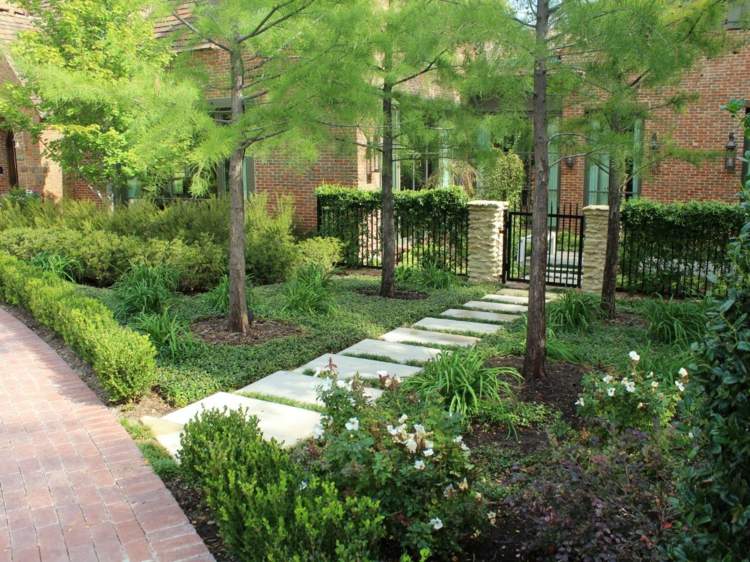 Vytvorte záhradné chodníky rovné-sústruh-rastliny-živý plot-boxwood