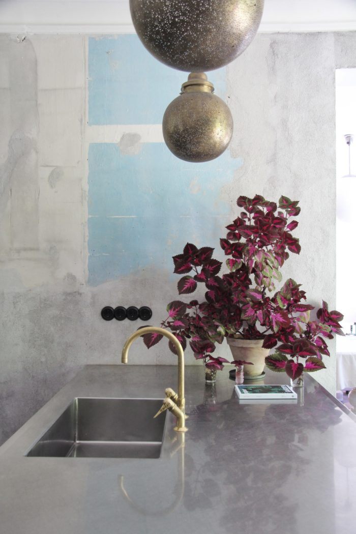 krásne izbové rastliny panašované listy Coleus pestré žihľavy