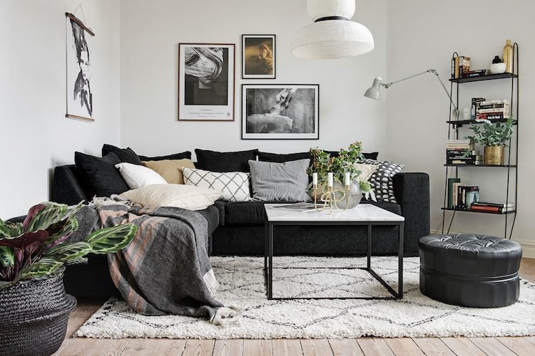 Krásne izbové rastliny s farebnými listami krásne izbové rastliny farebné listy moderný interiér obývacia pohovka