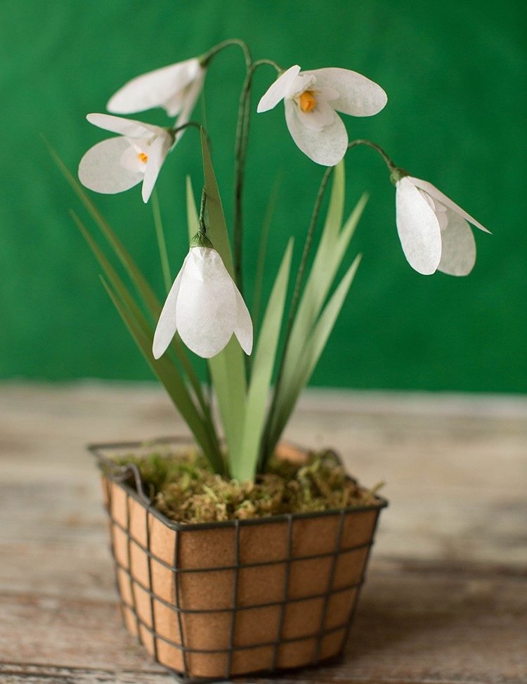 snežienka-drotár-papier-hodváb-papier-kvetinová úprava