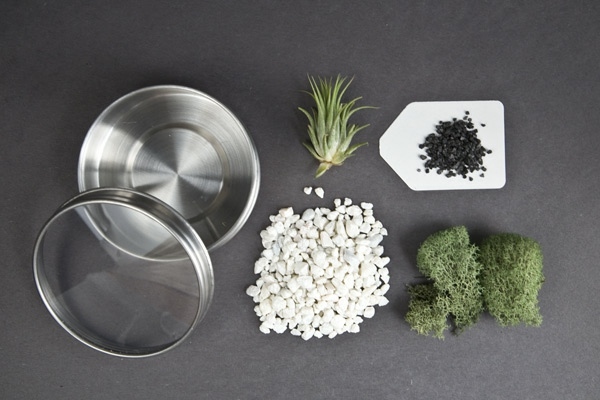 Návod na stavbu terária zdobí materiály