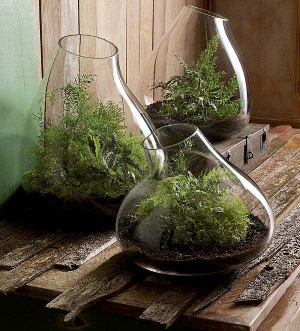 Vytvorte nové nápady na stavbu vlastného terária