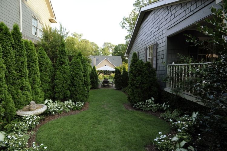 Rýchlo rastúci živý strom zo smaragdu