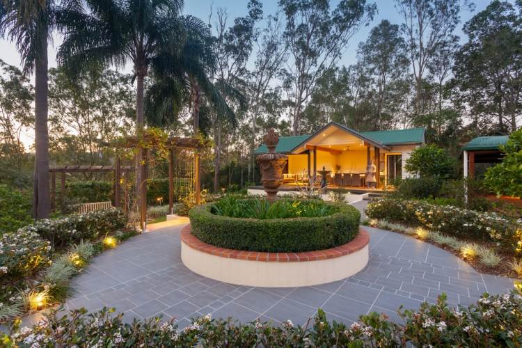 rýchlo rastúci živý plot-japonská cezmína-Ilex-crenata