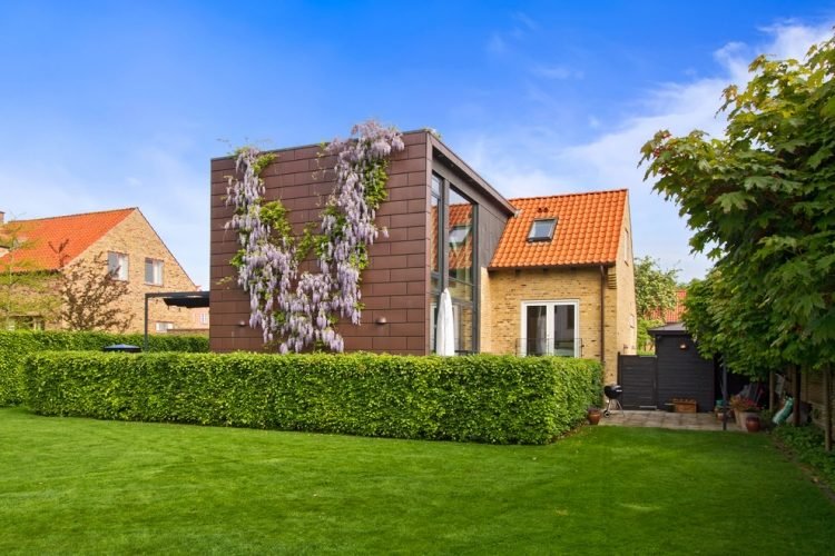 rýchlo rastúci-živý plot-čerešňa-vavrínovo-modrá dažďová zeleň fasády