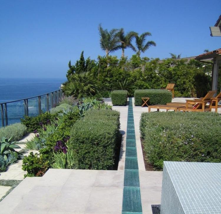 rýchlo rastúci živý plot-leyland-cyprus-terasa