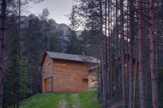 interiér príroda obklopený zvierací svet les hory