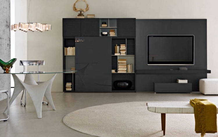 jednotka čiernej steny Pass by Nicola Gallizia for Molteni & amp; C. jednotka čiernej steny-PASS-Nicola-Gallizia-Molteni-c