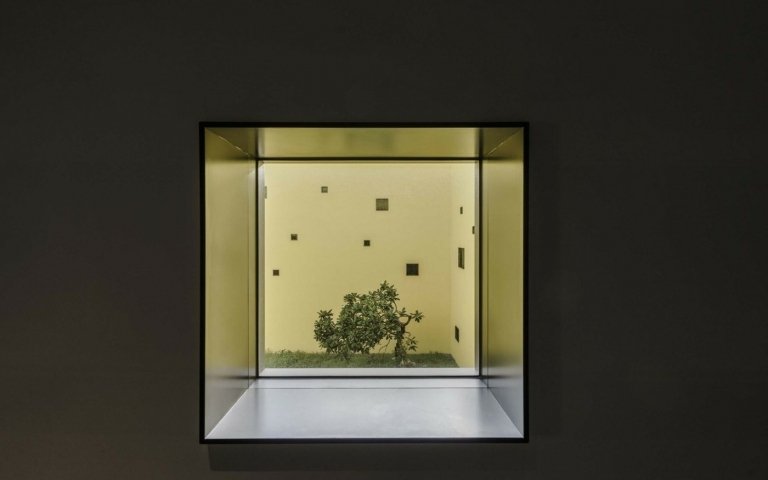 Čierna a žltá ako kontrastné farby pre vizuálne zaujímavé pútače pozornosti