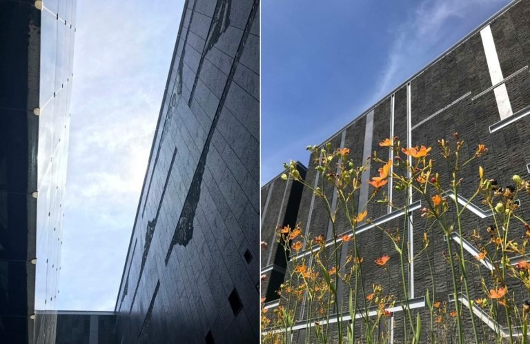 Minimalistická fasáda na budove múzea a kvety z parku so zeleňou