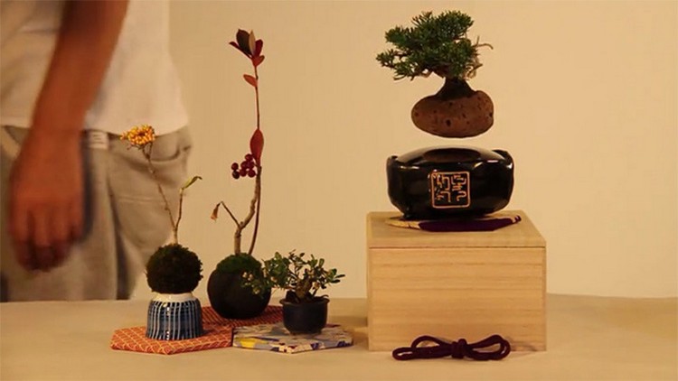 Plávajúci bonsai strom ozdoba domáceho porcelánového magnetu