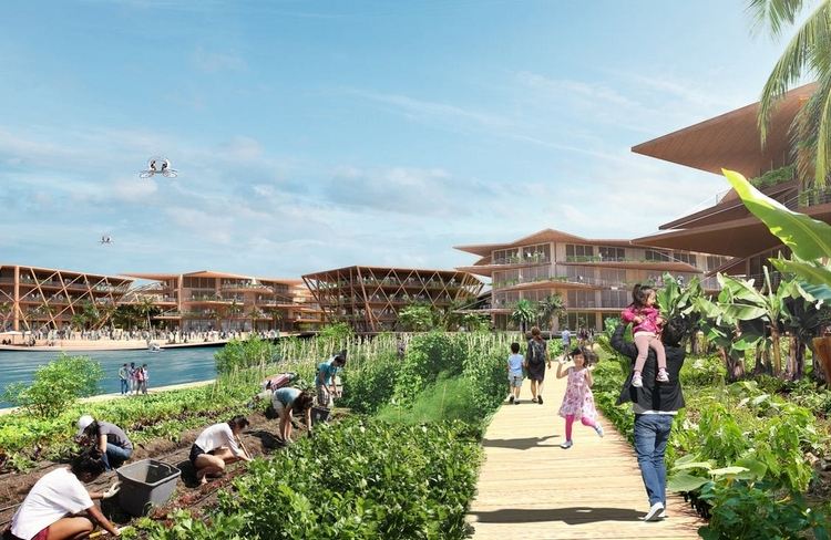 poľnohospodárstvo a možnosti pestovania jedlých rastlín pre plávajúce mesto