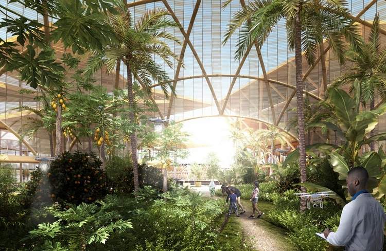 Rôzne druhy rastlín rastú pod jednou strechou ako potrava pre obyvateľov