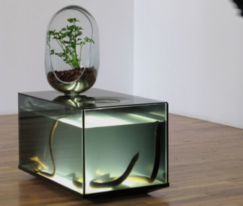 veľká akváriová plávajúca záhrada ako filter