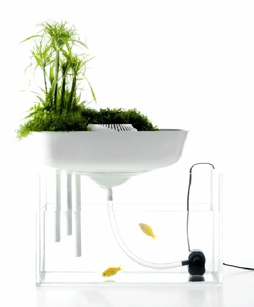 prírodné čistenie plávajúcich mini záhrad ako filtrov