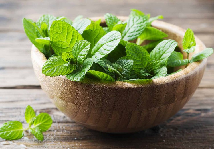 urobte šampón sami recept objem mäty