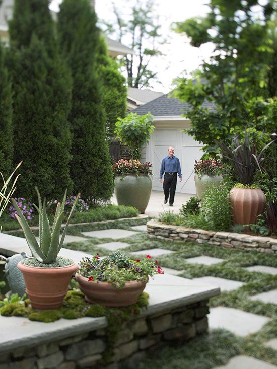 nápady na dizajn záhrady z vysokých vždyzelených stromov záhradný dizajn vysokých vždyzelených stromov