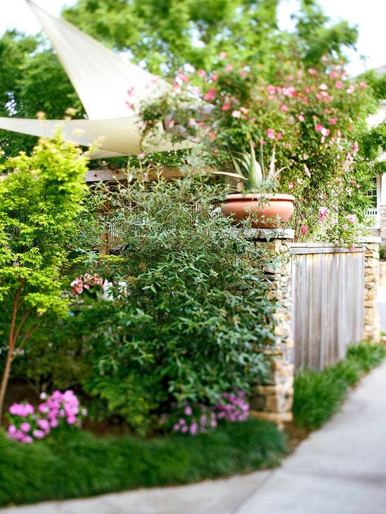 Obrazovka ochrany osobných údajov záhradné stromy rastliny plot z bieleho dreva Obrazovka ochrany osobných údajov záhradné stromy rastliny biele drevo