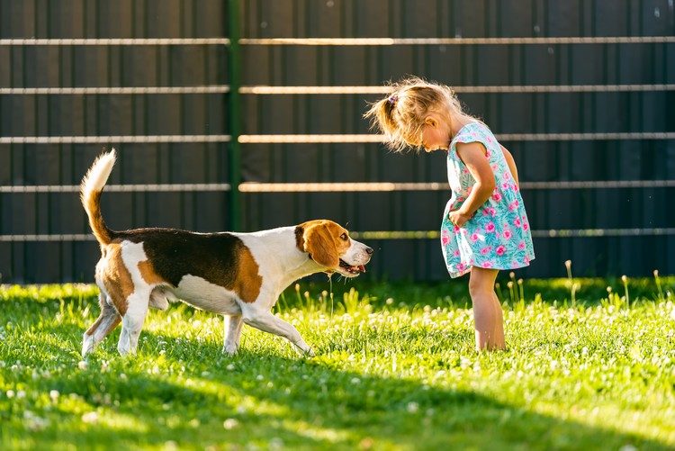 Plot na ochranu osobných údajov kúpiť práva na ochranu záhradnej stavby na ochranu súkromia