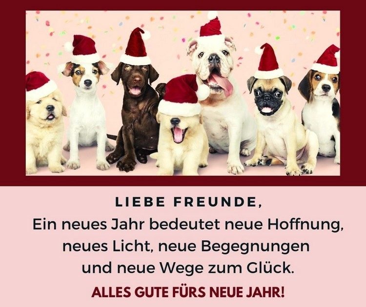 Posielajte zadarmo gratulácie a silvestrovské pozdravy priateľom 2021