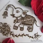 снимка Символи на Mehendi от 24.10.2017 г. No 071 - Символи на Mehendi -