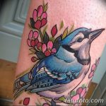 снимка Сини татуировки от 18.10.2017 г. №001 - Сини татуировки -