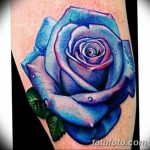 снимка Сини татуировки от 18.10.2017 г. №062 - Сини татуировки -