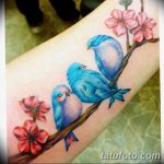 снимка Сини татуировки от 18.10.2017 г. №104 - Сини татуировки -