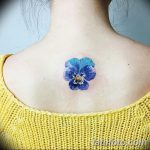 снимка Сини татуировки от 18.10.2017 г. №138 - Сини татуировки -