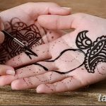 photo كم يموت MECHENDI من 09/30/2017 رقم 003 - كيف موشن -