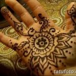 الصورة كم يموت MECHENDI من 30.09.2017 №006 - كم -