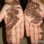 photo كم يموت MECHENDI من 09/30/2017 رقم 007 - كيف MUCHHEN -