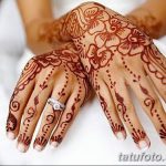 photo كم يموت MECHENDI من 09/30/2017 رقم 010 - كيف MUCHHEN -