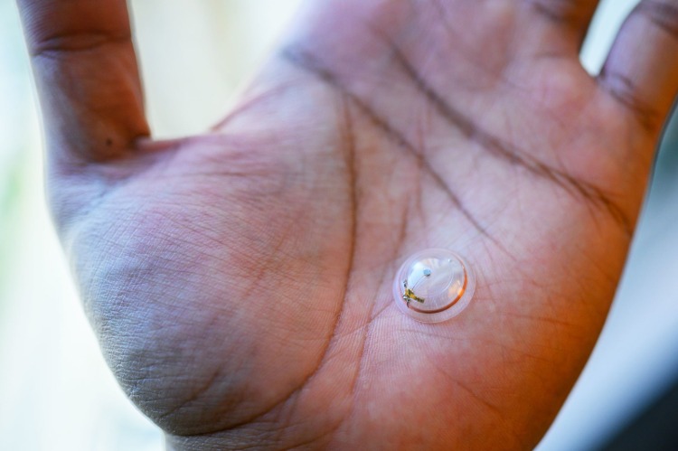 Nová generácia vstavaného displeja so sklerálnymi šošovkami zlepšuje viditeľnosť