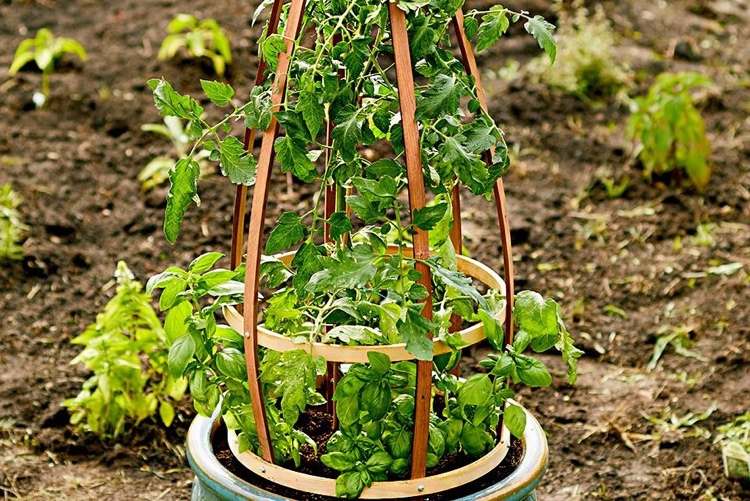 Postavte si pomoc pri lezení pre vedrá sami