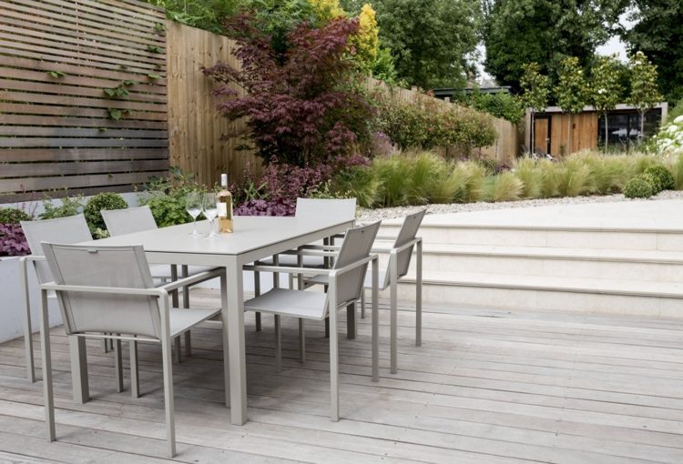 Japonský javor Acer palmatum „Bloodgood“ ako zvýraznenie