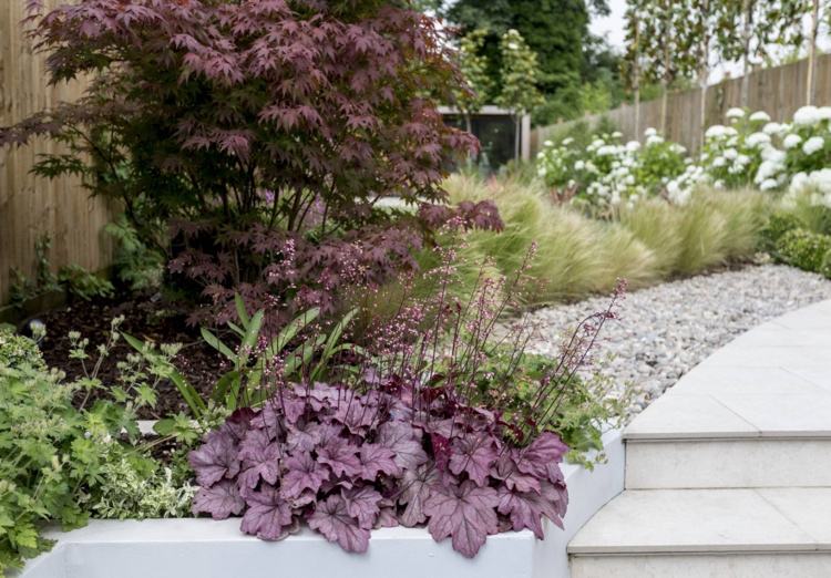 Japonský javor Acer palmatum a Heuchera zvýrazňujú svoje červené lístie