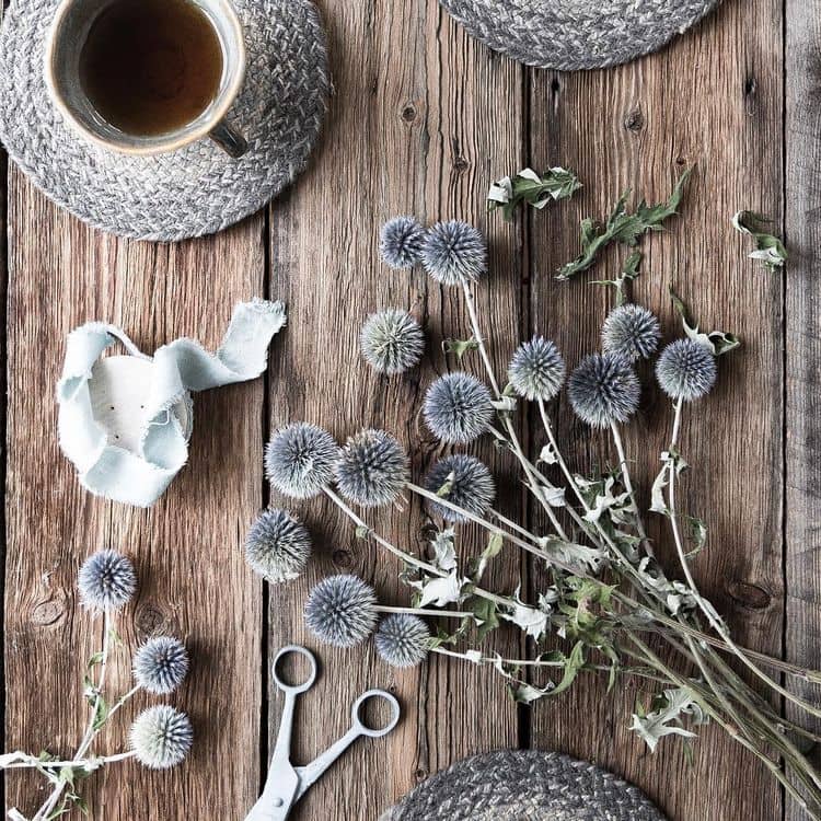 Tipy a metódy na sušenie bodliaka