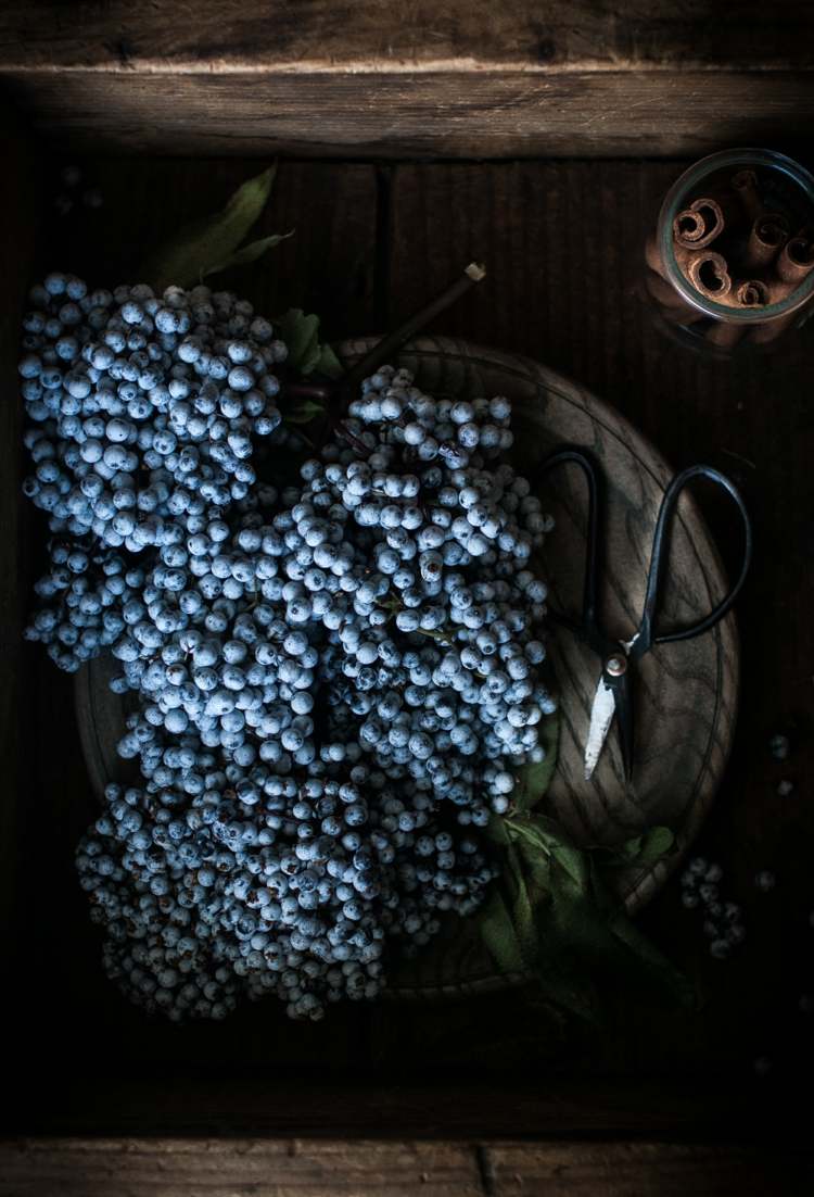 recepty spracovanie bezinky kuchynský prínos pre zdravie