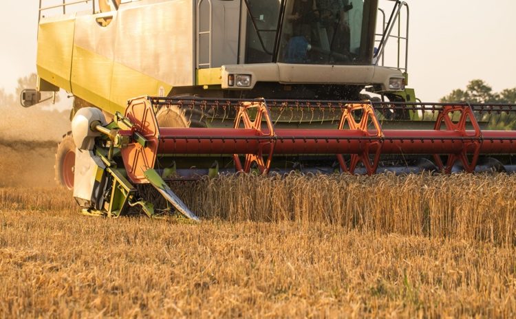 Kombajn pracuje v teréne