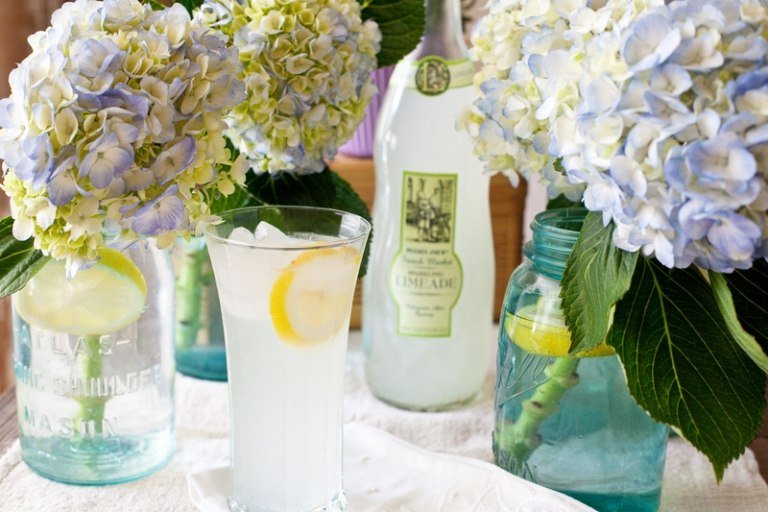 Hyacinty na stole - pekné nápady remesiel Letná dekorácia-nápad-hviezdice-moderné-nápady-moderné-v-skle