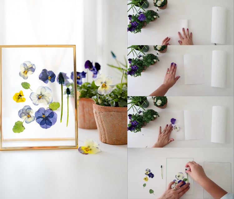 Vyrobte si letné dekorácie sami, suché kvety